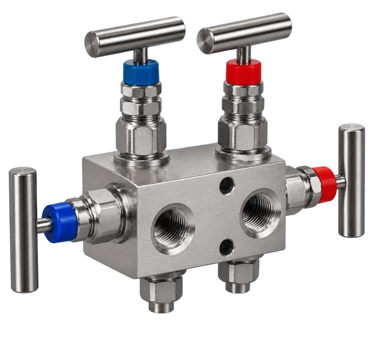 Manifold Valve